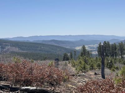 TBD Rosalie Drive Lot 27