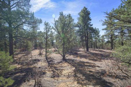 TBD Rancho La Garita Lot 1129