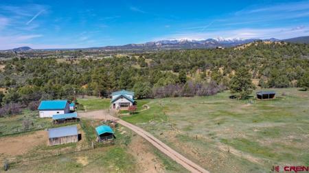 205 Toad Rd