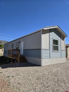 6000 County Road 203