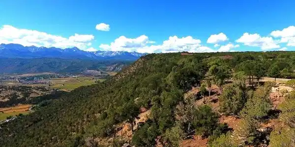 TBD Pine Drive