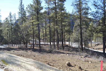 53 Snowdrop Ct. (Lot 140)