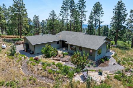 1523 Silver Mesa Driveway