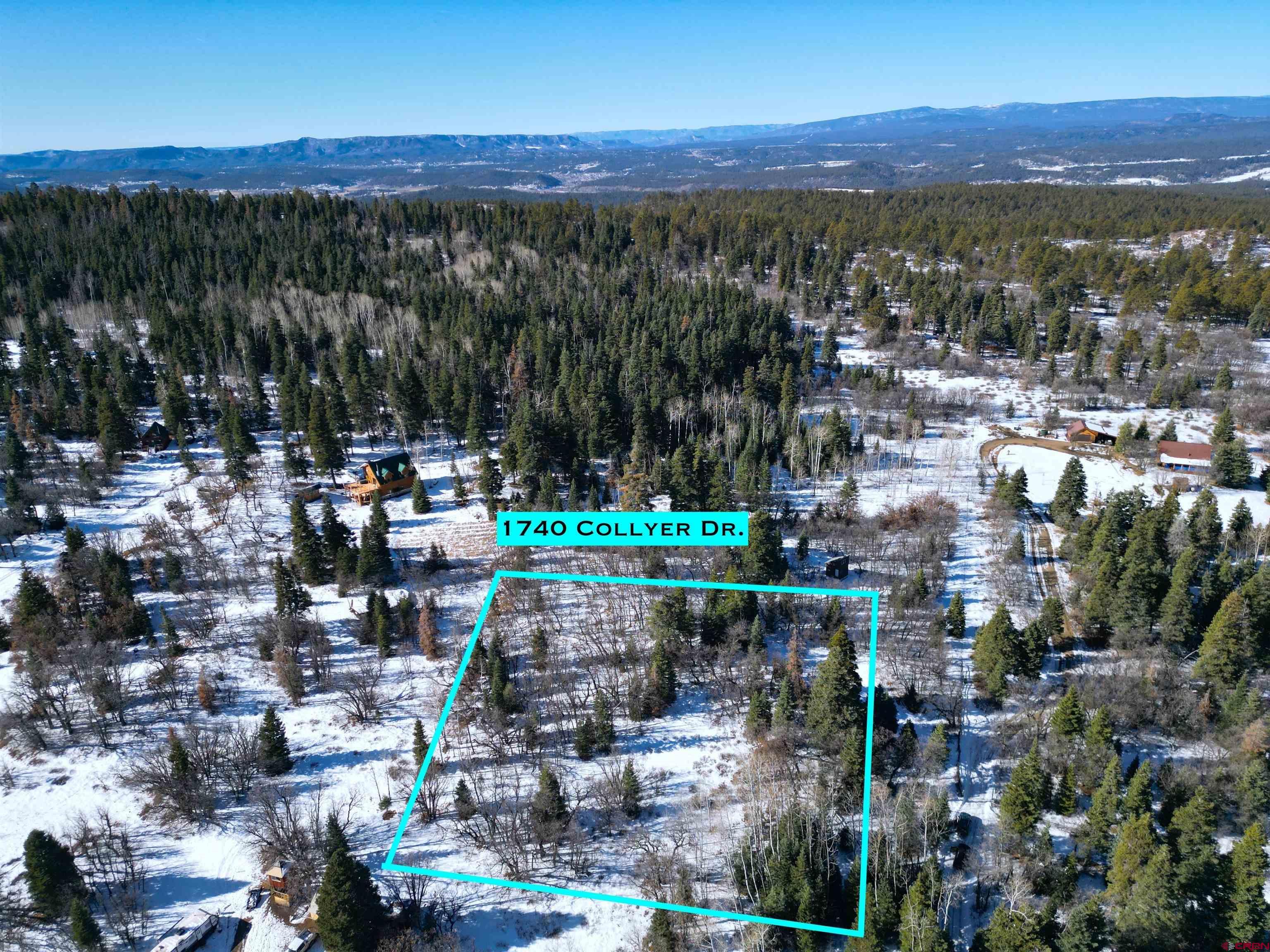 Image 2