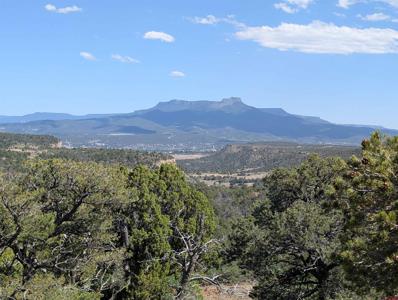 TBD Fishers Peak Ranch Pkwy Lot 14