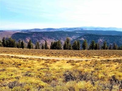 210 Schofield Trail