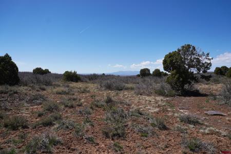 TBDWP Secret Canyon