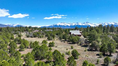 TBD Canyon Drive