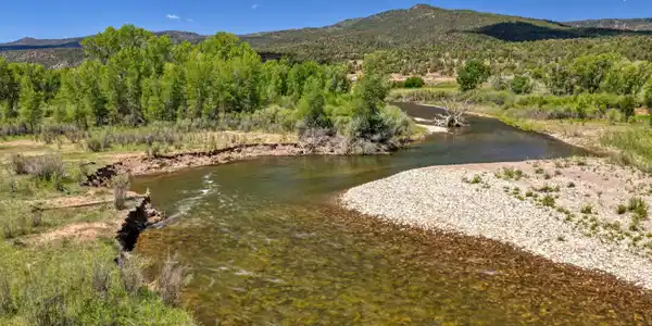 12248 USFS 613 Road