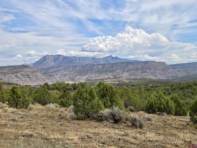 TBD Horse Canyon Road