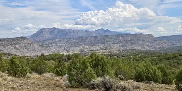 TBD Horse Canyon Road