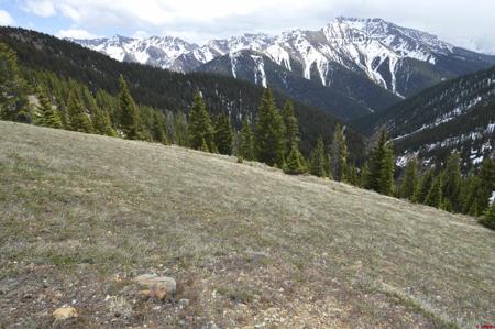 TBD CR 35 Lark Mining Claim