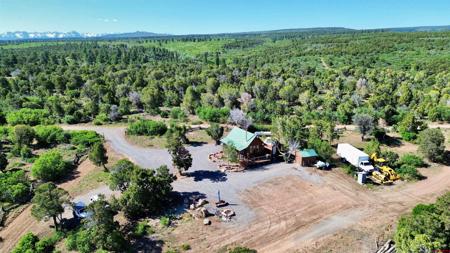 1165 TIMBER RIDGE Road