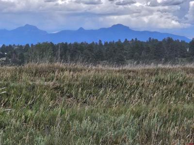 354 Prosepect Boulevard