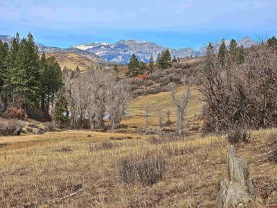 TBD County Road 382
