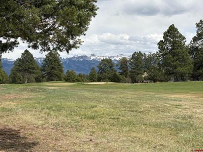 1695 Marmot Drive