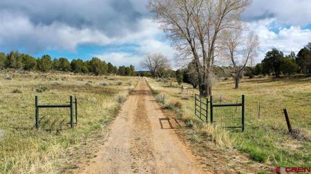 3805 County Road 510