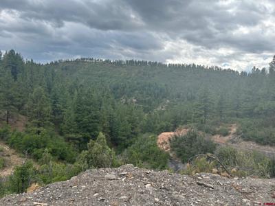 17235 Hwy 160