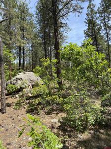 163 BOULDER VIEW Drive