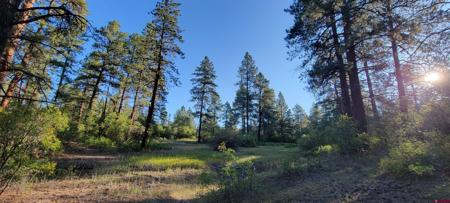 Lot 5 Beaver Creek Ranch Dr