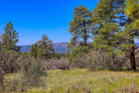 3367 Ranchland Drive