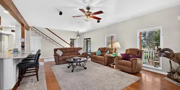 Image 4: Living Room