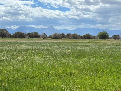 TBD Redlands Mesa Road