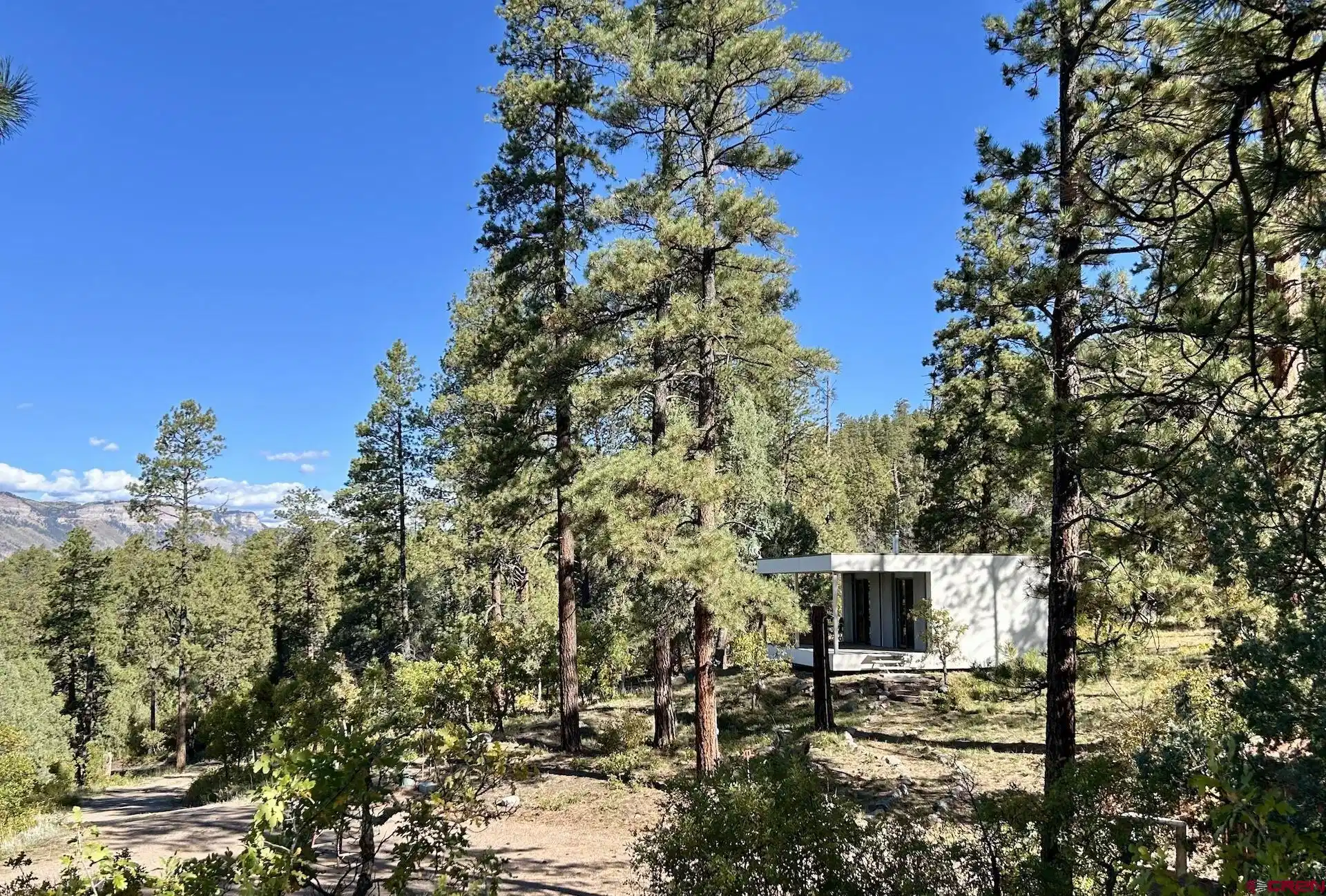 Image 1: Cabin In The Pines