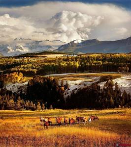 DRR Last Dollar Road