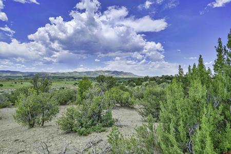 TBD Stone Ridge Phase 11