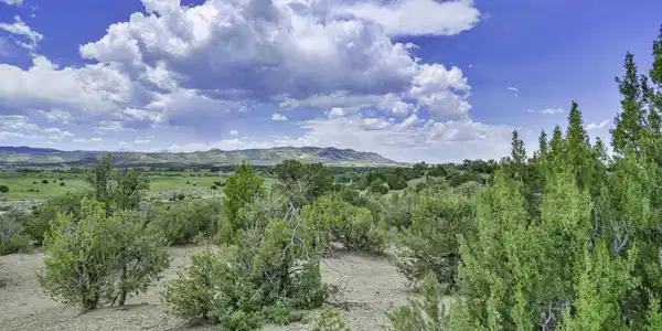 TBD Stone Ridge Phase 11