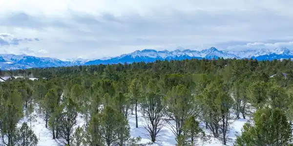 Lot 28 Fisher Canyon Drive