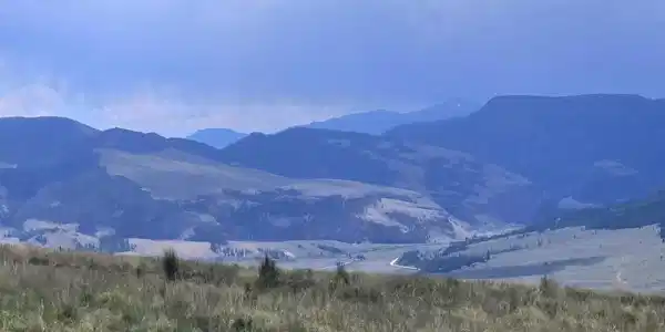 TBD County Road 504 Bachelor Loop