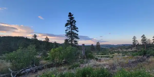 Lots 4 and 5 Beaver Creek Ranch Dr