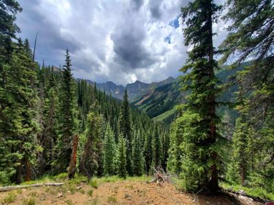 TBD CR 51 High Mountain Properties