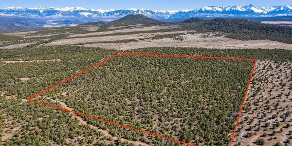 TBD Pinion Ridge Road
