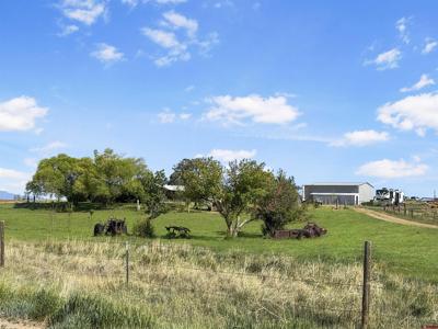 13075 Road EE