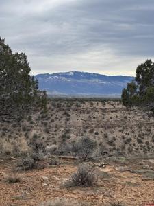 18858 Rocky Road Trail