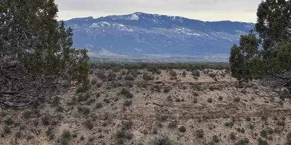 18858 Rocky Road Trail