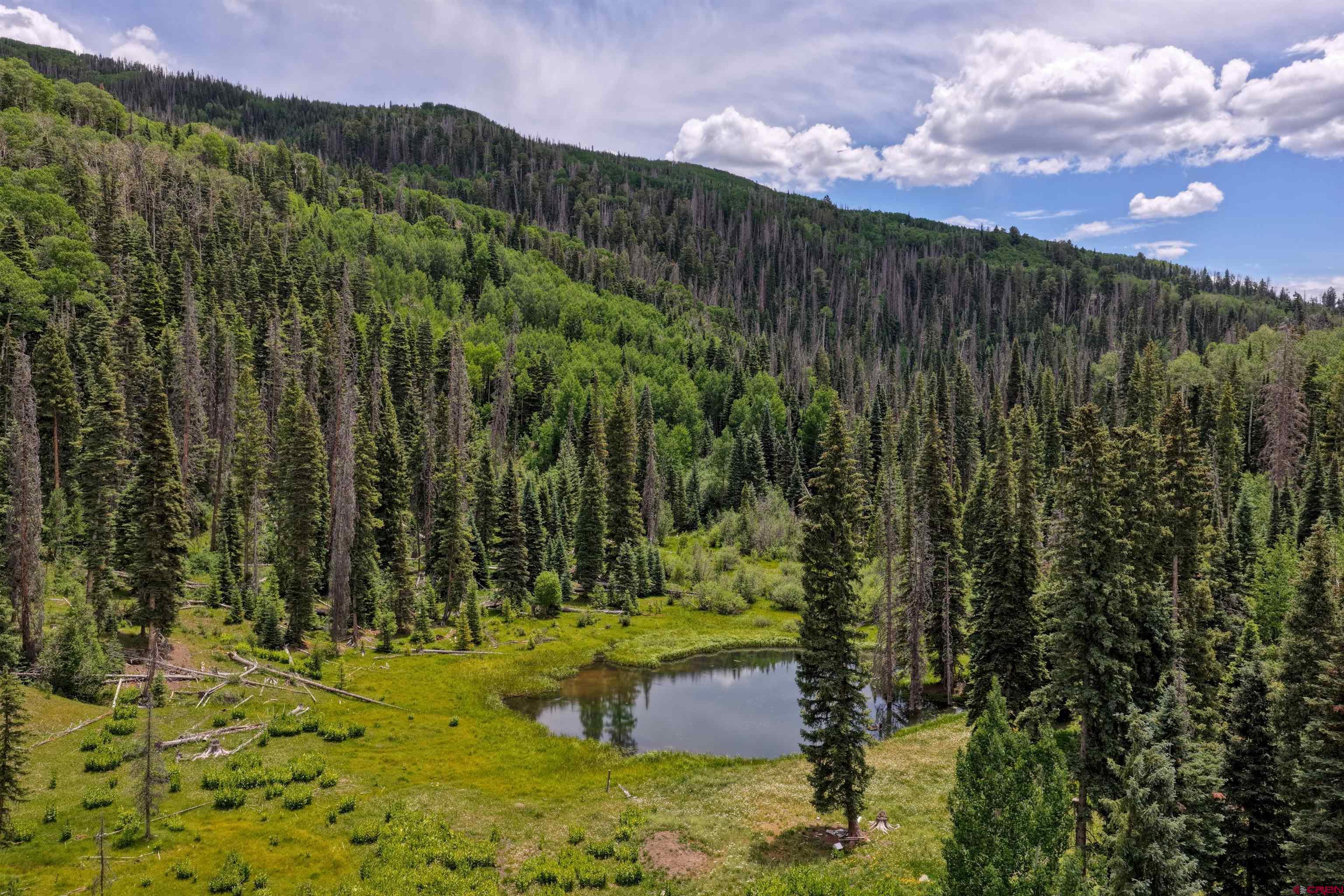 Image 2: Spring Fed Pond