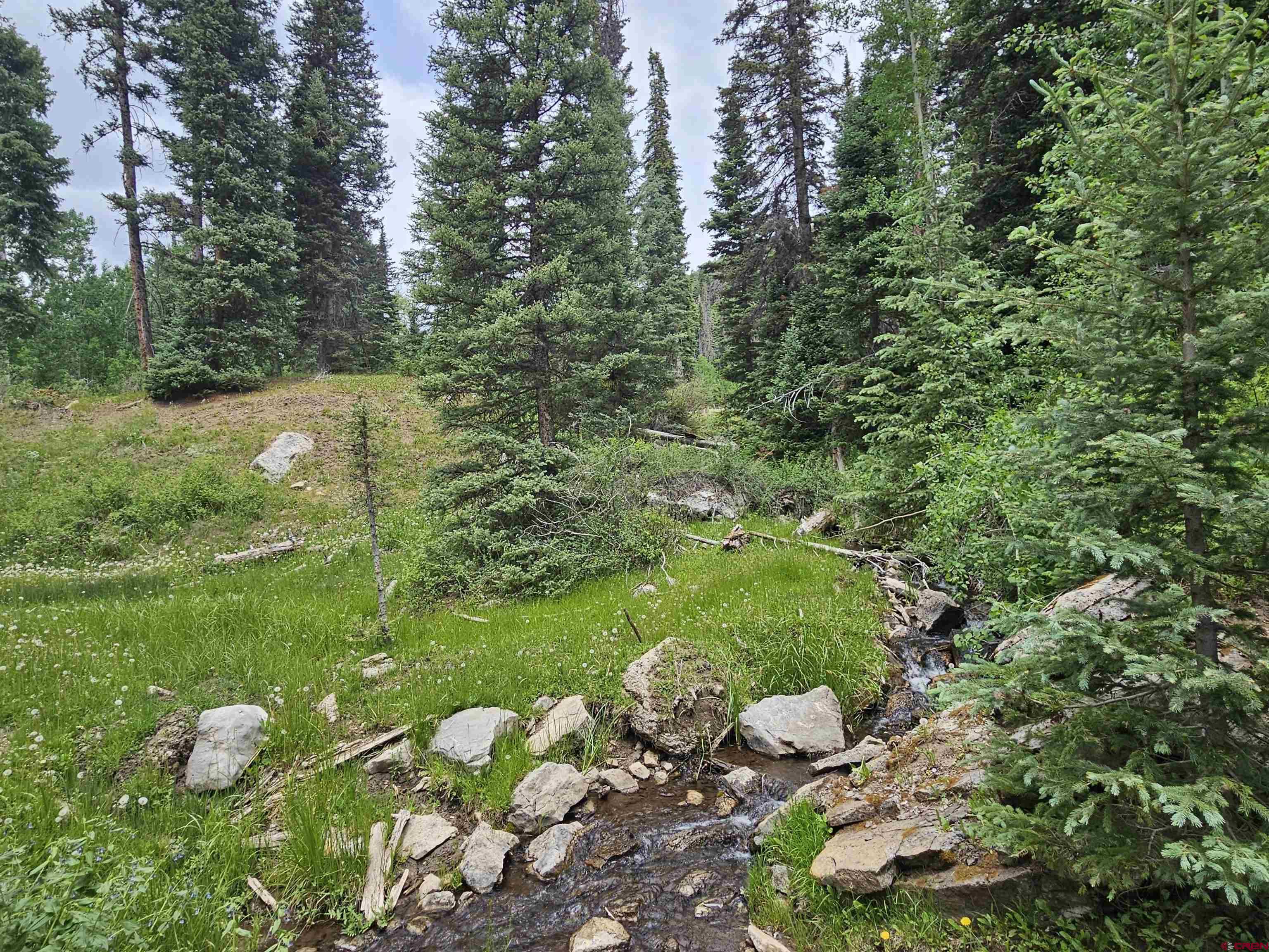 Image 4: Spring Fed Creek