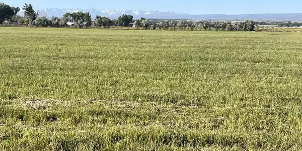 TBD 5725 RD