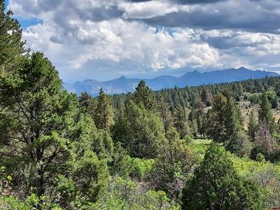 TBD Wisteria Dr
