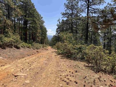 TBD Unit 3 Forest Lakes