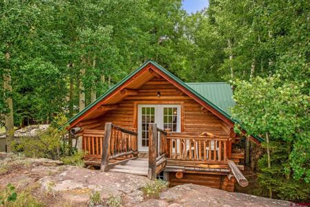 228 Showdown Trail