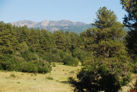 X US Hwy 84 #115