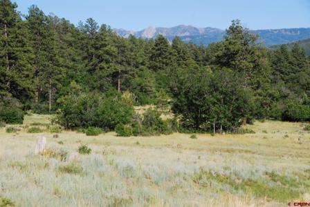 X US Hwy 84 #047