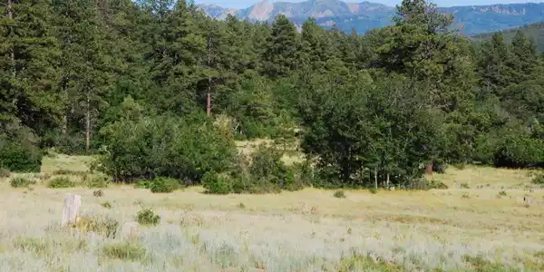 X US Hwy 84 #047