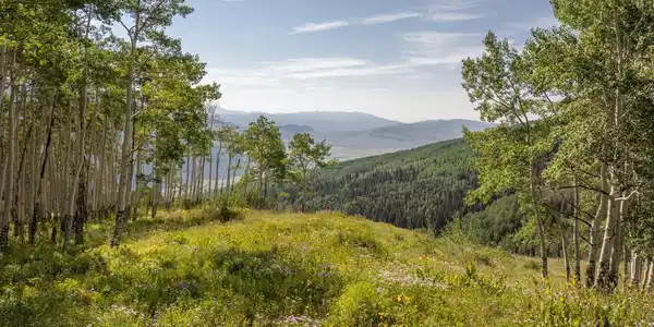 465 Oversteeg Gulch Road