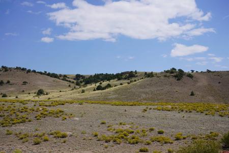 496 E Pfieffer Loop